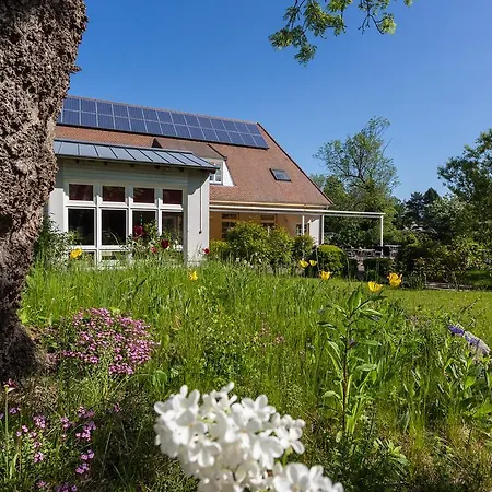 호텔 Alt Wittower Krug 3*