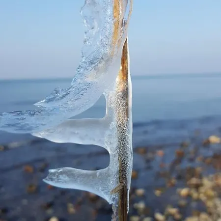 Alt Wittower Krug 호텔